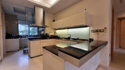 Parkview Eclat (D10), Condominium #479924481